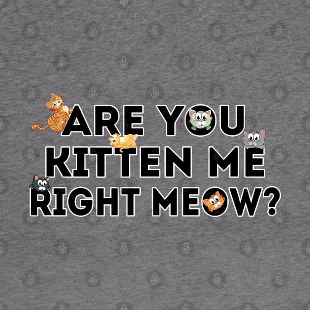 Are You Kitten Me Right Meow by ZenCloak